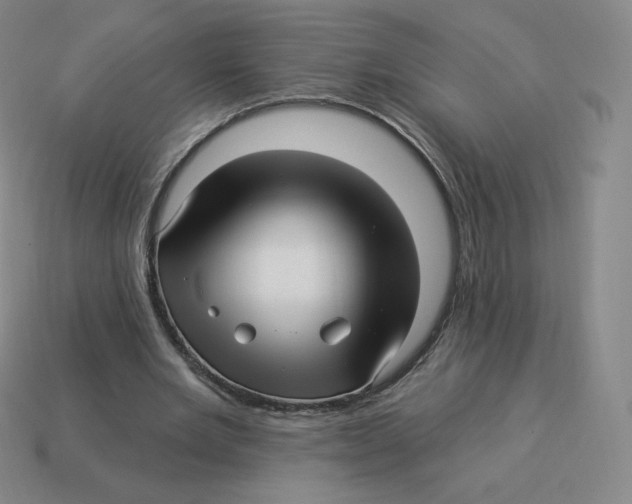 X0000114210485200911061449