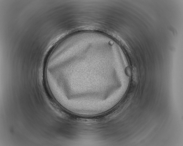 X0000114210486200911061449