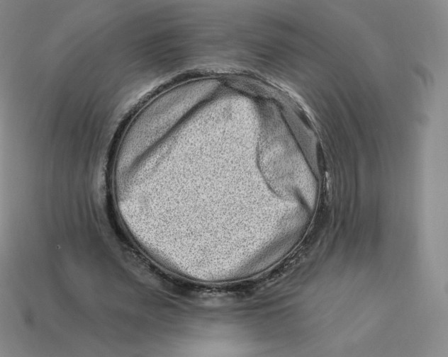 X0000114210487200911061449