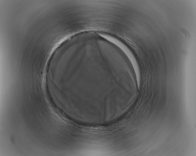 X0000114210488200911061449