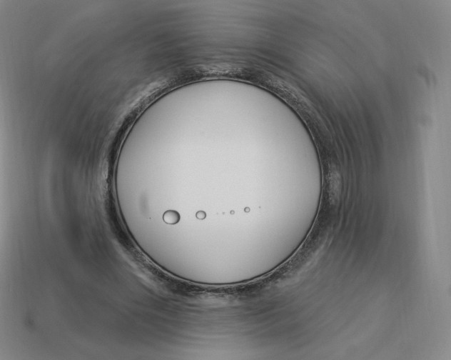 X0000114210490200911061449
