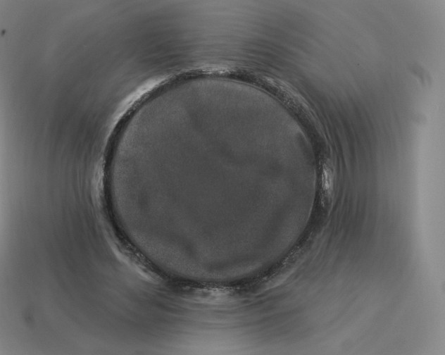 X0000114210492200911061449