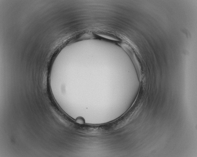 X0000114210493200911061449
