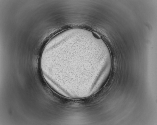 X0000114210495200911061448
