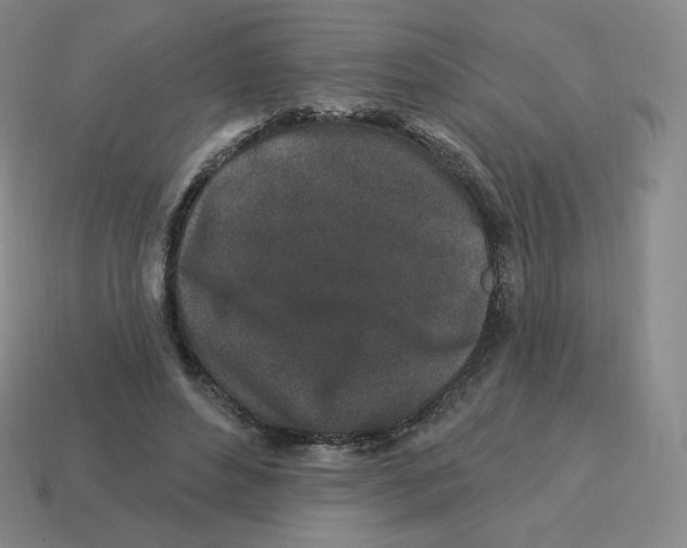 X0000114210496200911061448