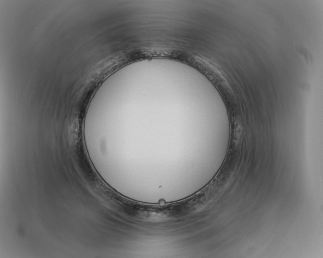 X0000114210498200911061448