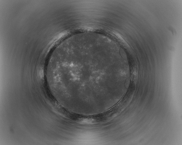X0000114210500200911061448