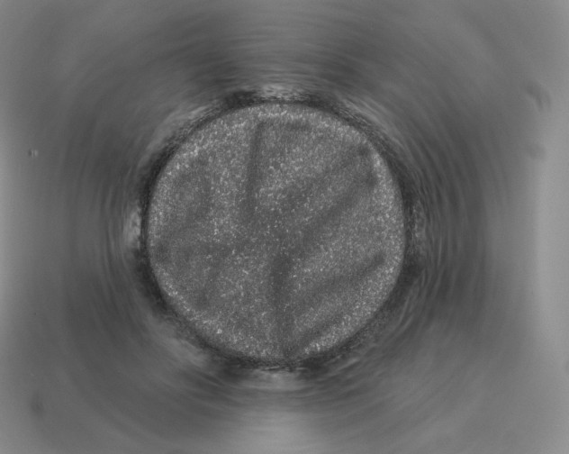 X0000114210502200911061448