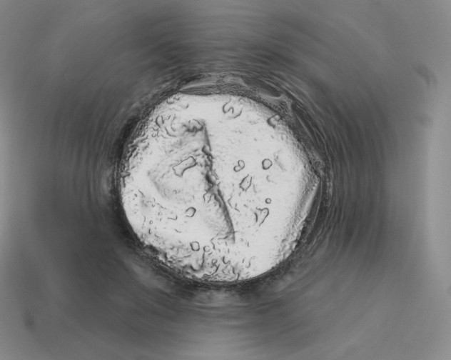X0000114210503200911061448