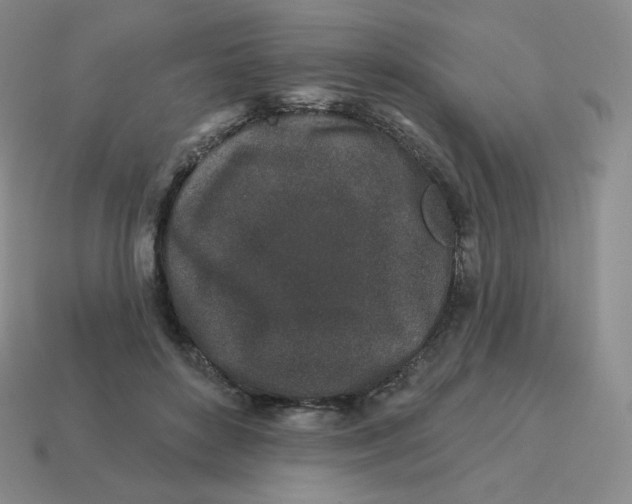 X0000114210504200911061448