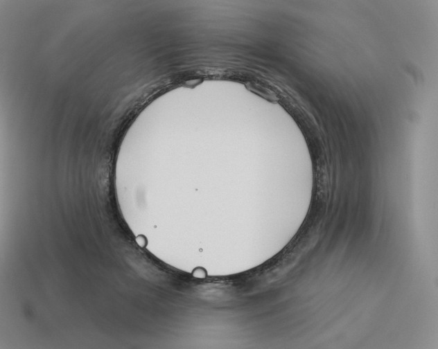 X0000114210505200911061448