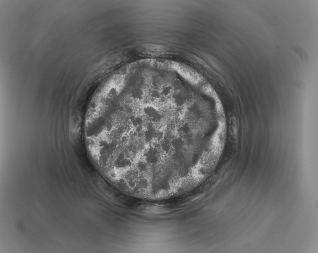 X0000114210507200911061448