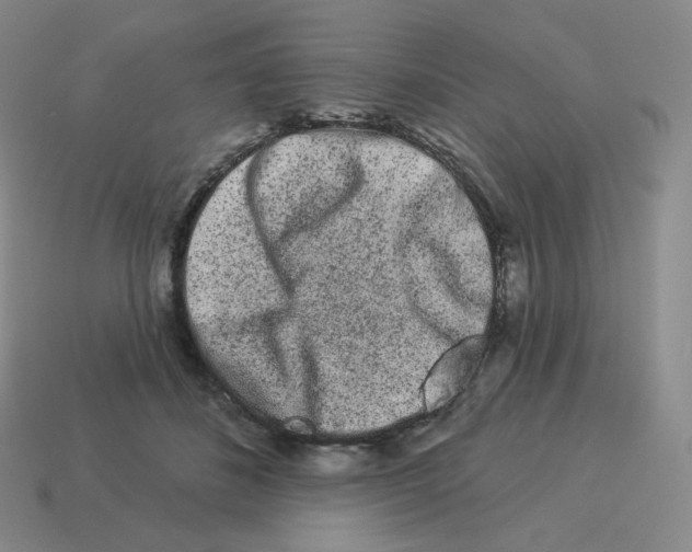 X0000114210508200911061448
