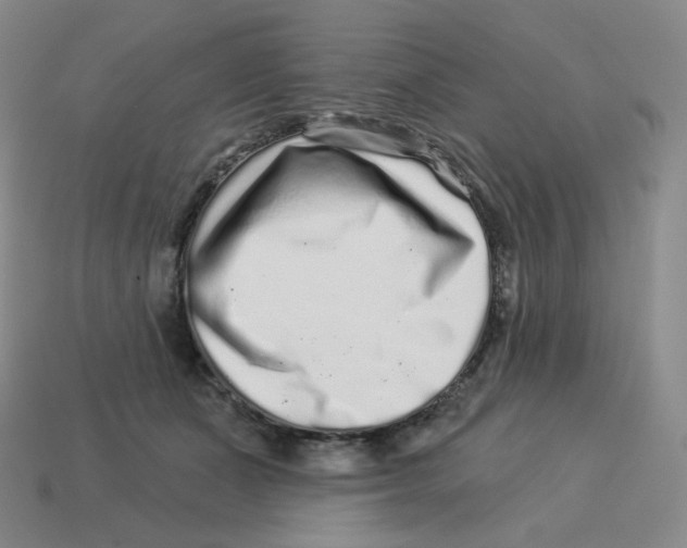 X0000114210511200911061448