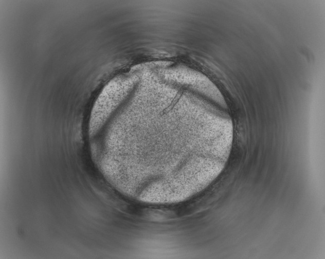 X0000114210512200911061448