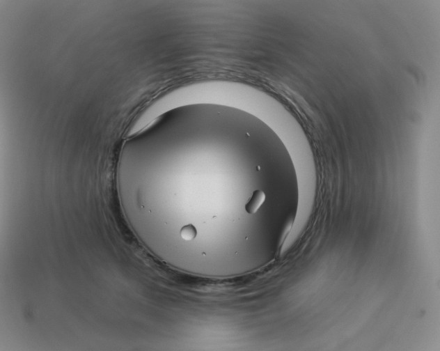 X0000114210513200911061448