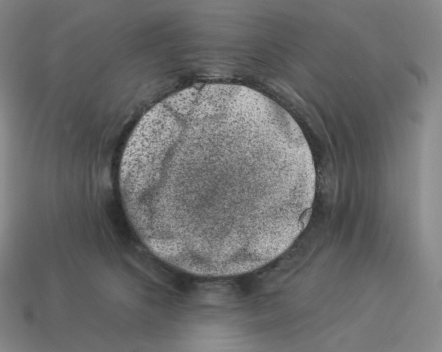 X0000114210516200911061448