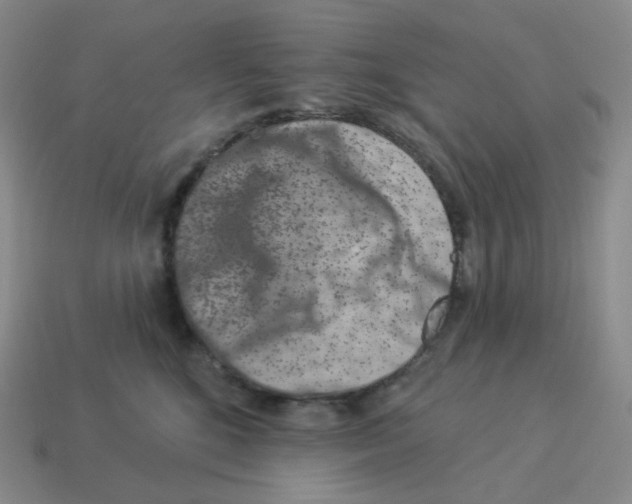 X0000114210520200911061448