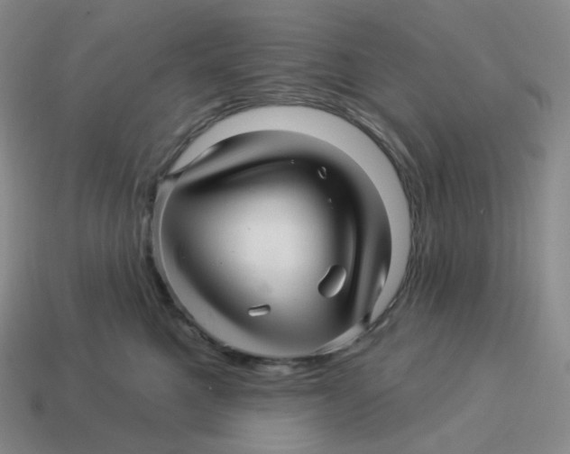 X0000114210521200911061448