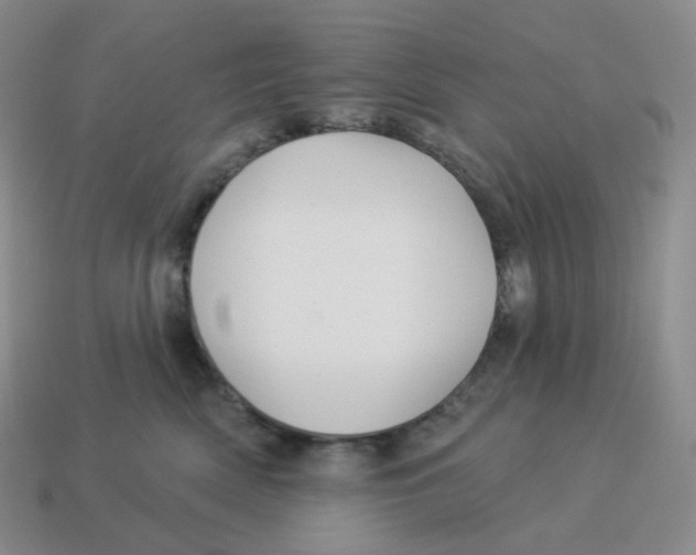 X0000114210522200911061448