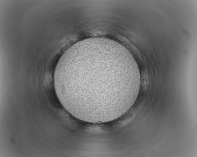 X0000114210523200911061448