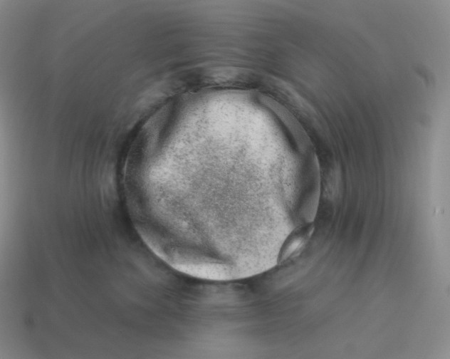 X0000114210524200911061448