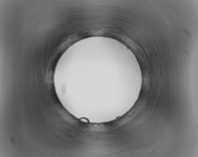 X0000114210525200911061448