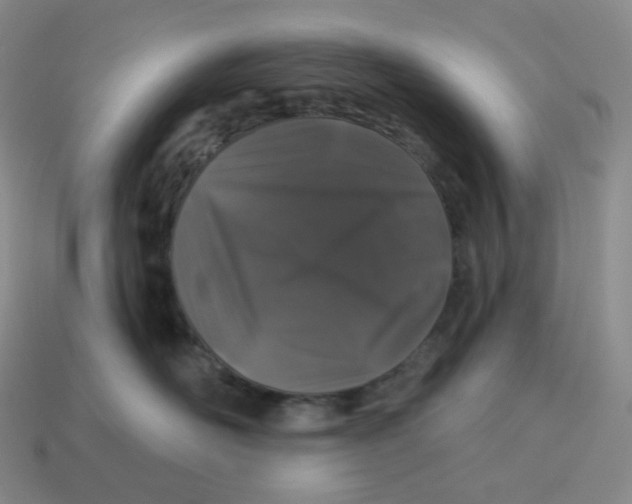 X0000114210526200911061448