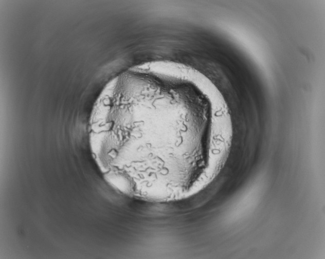 X0000114210527200911061448