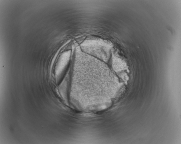 X0000114210528200911061448