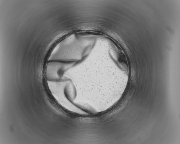 X0000114210530200911061447