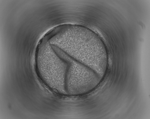 X0000114210532200911061447