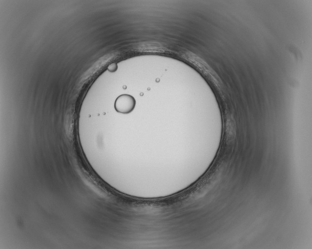X0000114210533200911061447