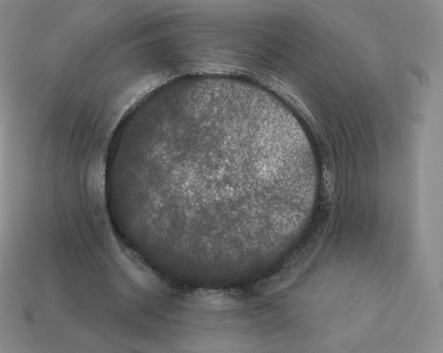 X0000114210534200911061447