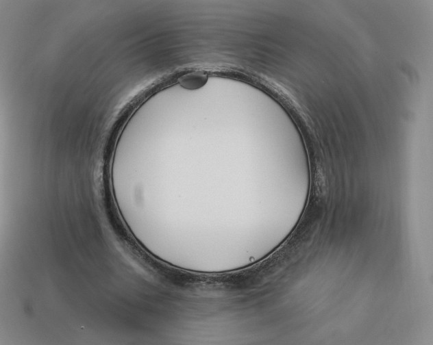X0000114210535200911061447