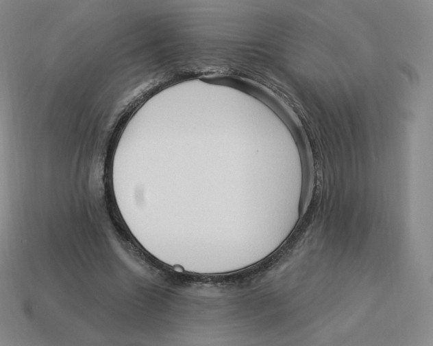 X0000114210538200911061447