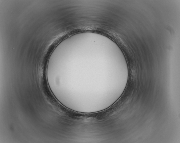 X0000114210539200911061447