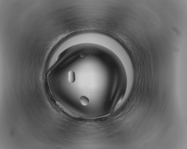 X0000114210540200911061447