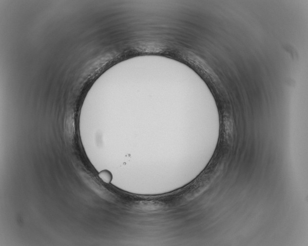 X0000114210541200911061447