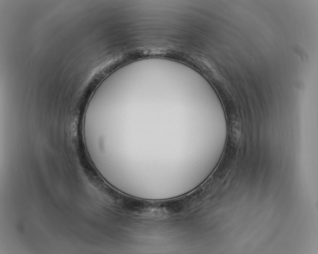 X0000114210543200911061447
