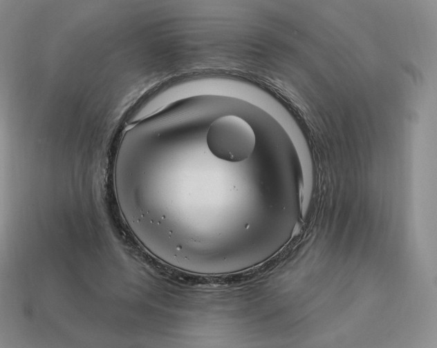 X0000114210544200911061447
