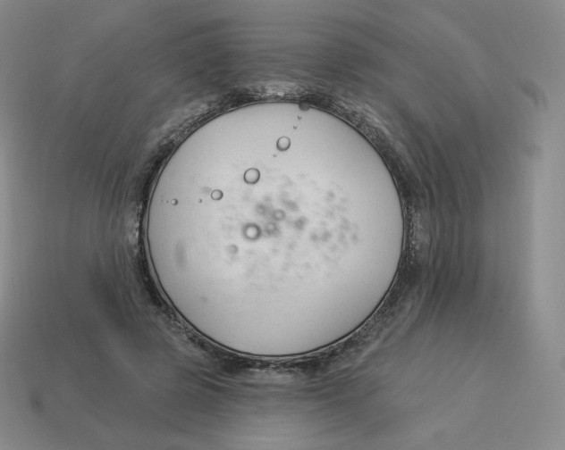 X0000114210545200911061447