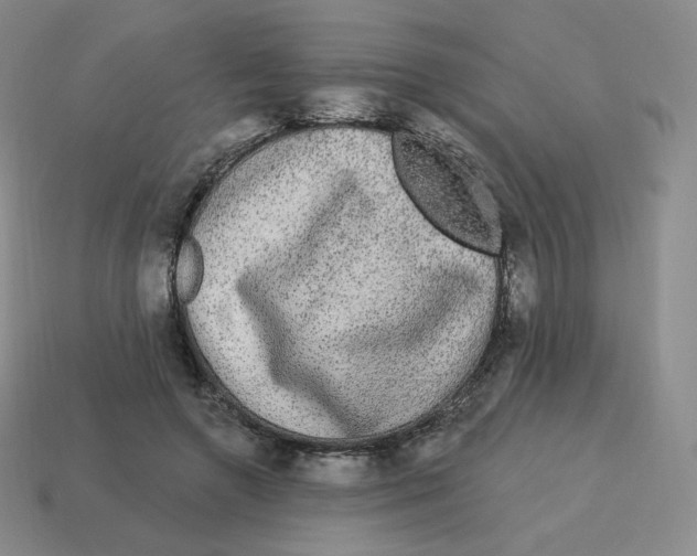 X0000114210546200911061447
