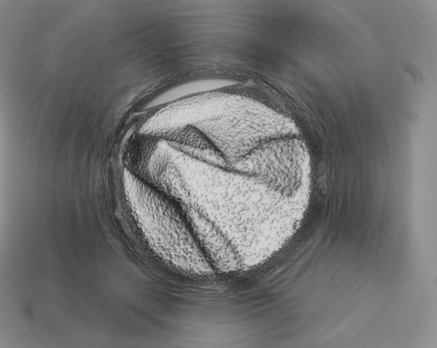 X0000114210547200911061448