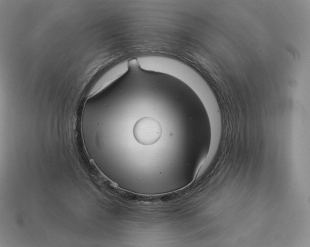 X0000114210548200911061448