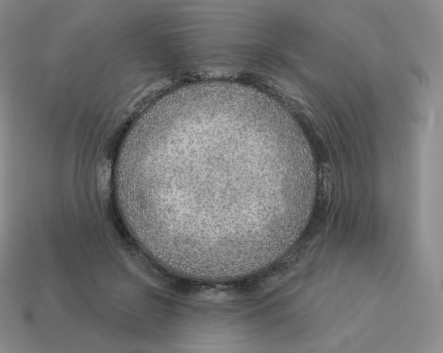 X0000114210550200911061448
