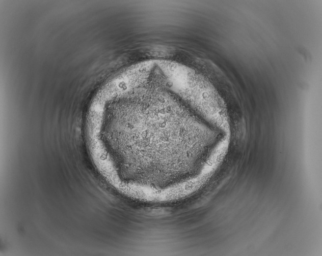 X0000114210553200911061448