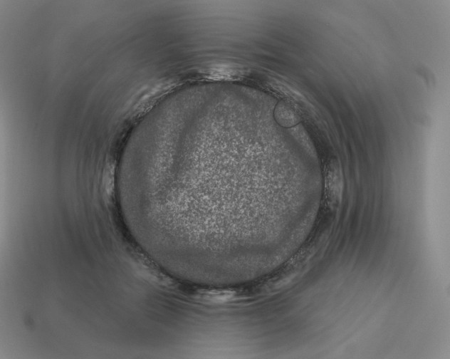 X0000114210554200911061448