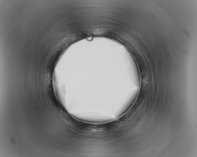 X0000114210555200911061448
