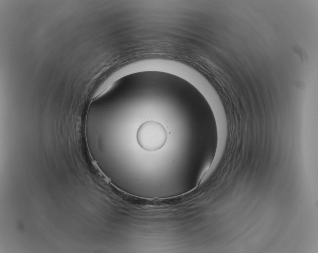 X0000114210556200911061448